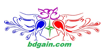 BD GAIN LOGO